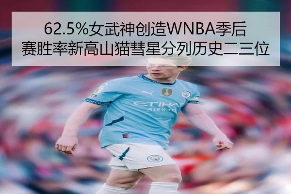 62.5%女武神创造WNBA季后赛胜率新高山猫彗星分列历史二三位